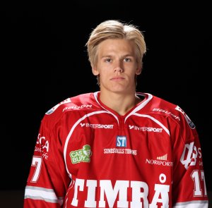 Bild på Anton Wedin