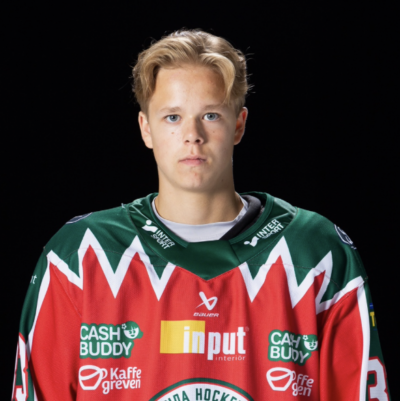 Noah Dower Nilsson